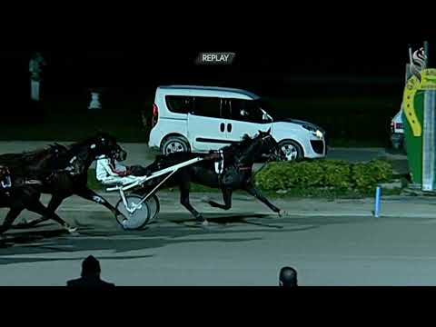 Aversa trotto 5 Febbraio 2022 - 7° Corsa