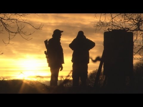 Fieldsports Britain – Night vision, quick duck and the Browning B725 Fieldsports Britain – Night vision, quick duck and the Browning B725