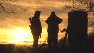 Fieldsports Britain – Night vision, quick duck and the Browning B725