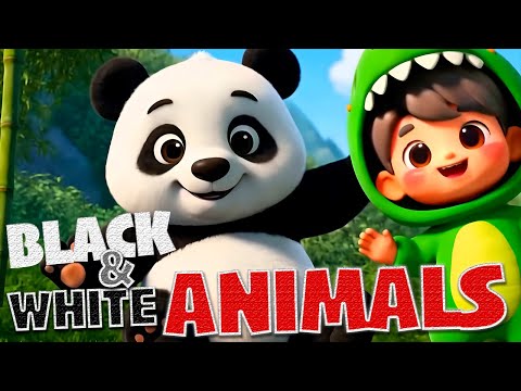 Black and White Animals for Kids | Fun Learning Song with Zebra, Panda, Penguin & More!