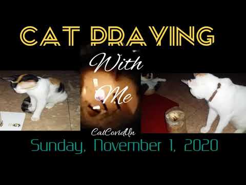 Cats Praying With Me