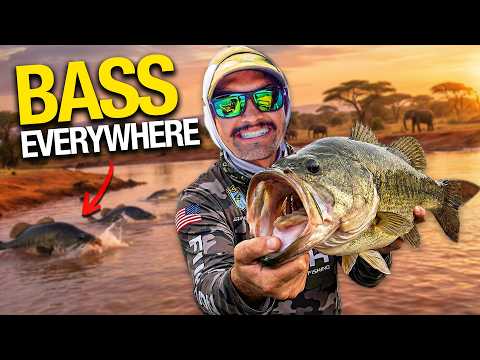 Bass Fishing in CROCODILE Waters! (Africa's Craziest Topwater Bite)