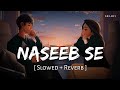 Naseeb Se (Slowed + Reverb) | Payal Dev, Vishal Mishra | Satyaprem Ki Katha | SR Lofi