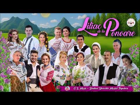 𝐋𝐢𝐥𝐢𝐚𝐜 𝐝𝐞 𝐥𝐚 𝐏𝐨𝐧𝐨𝐚𝐫𝐞  🎶🎉🎼  || Cântece din Mehedinți || 🎊🎻👏 @gsmusicfolclor