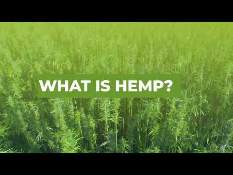 PSA; What is Hemp?