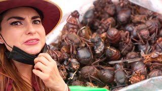 CHAPULINES y HORMIGAS para COMER en el Tianguis de Tlacolula OAXACA - ALMA Coronel