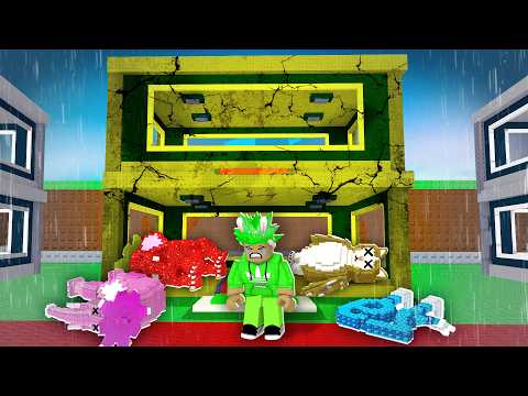 mein LETZTES STEAL A BRAINROT VIDEO...