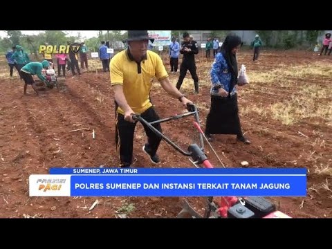 POLRES SUMENEP DAN KELOMPOK TANI TANAM JAGUNG DUKUNG KETAHANAN PANGAN