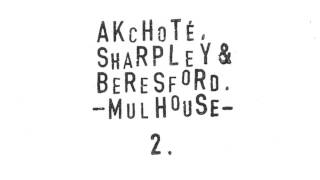 Noel Akchote, Steve Beresford & Andrew Sharpley   Mulhouse 2007   02 Deux