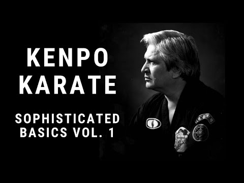 Kenpo Karate Sophisticated Basics