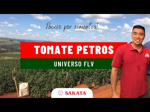 , title : 'Depoimentos sobre o tomate salada Petros - Sakata'