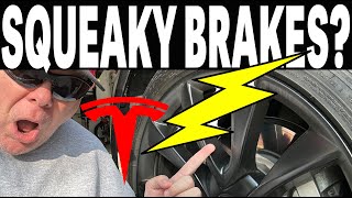 Got SQUEAKY Tesla Brakes noise? Try This Simple Fix!