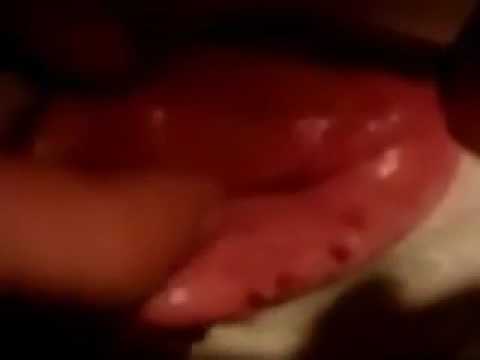 Селка