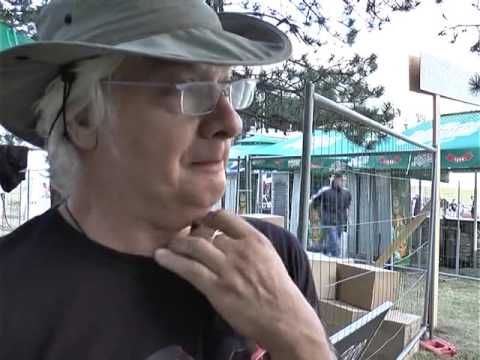 TV5 - Koncertom Generacije 5 počeo festival Hills up