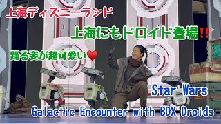 音楽に合わせて踊るドロイドが可愛い♡Star Wars: Galactic Encounter with BDX Droids【上海ディズニー】2026年3月