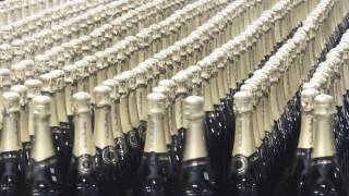 preview picture of video 'Winzerhof Dockner: Champagne-Reise 2015'