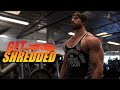 GET SHREDDED Ep2 : SHOULDERS AND ARMS