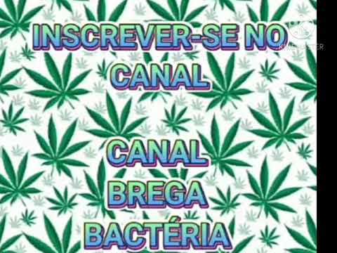 LEO IMPLACÁVEL . MK NO BEAT FEAT. KEVIN O CHRIS - NOVO AQUECIMENTO 💣🔥