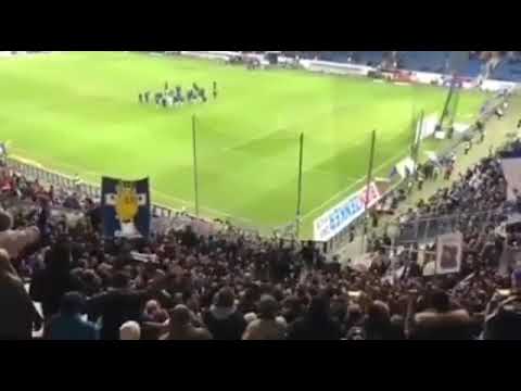 Schalke auswärts Stimmung vor dem Derby