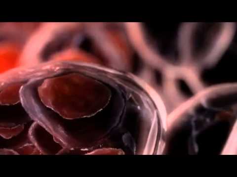 Valury - Valury - Rakovina