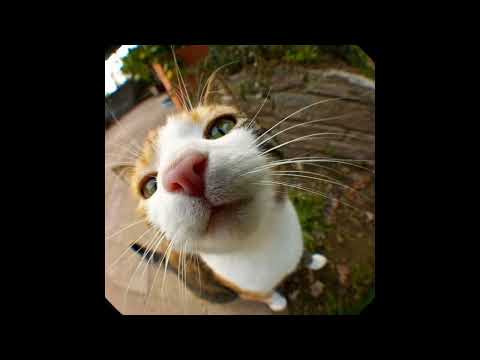 *Free* Toxi$ X Plohoyparen Type Beat | Trap Synth Type Beat