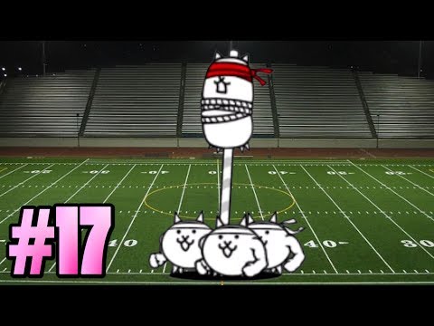 download lagu mp3 mp4 Sports Day Cat, download lagu Sports Day Cat gratis, unduh video klip Sports Day Cat