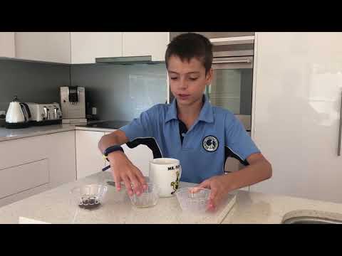 Cake in a Mug practical activity