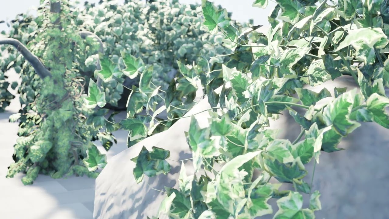 Ivy Plants Collection 02 3D Model