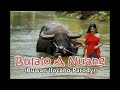 NUANG - Buwan Ilocano Parody