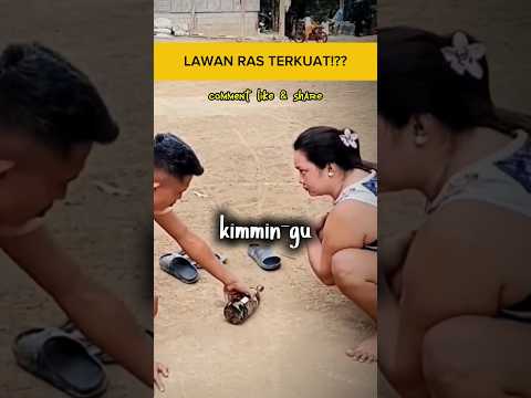 berani melawan ras terkuat di bumi!!?? #pranks #couple #funny #memes #comedy