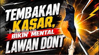 Download lagu TEMBAKAN KASAR BIKIN MENTAL LAWAN DROP! 🔥 | MASTERAN BURUNG MURAY BATU mp3