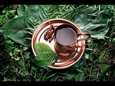 Ramanat - O Daime é a Direção