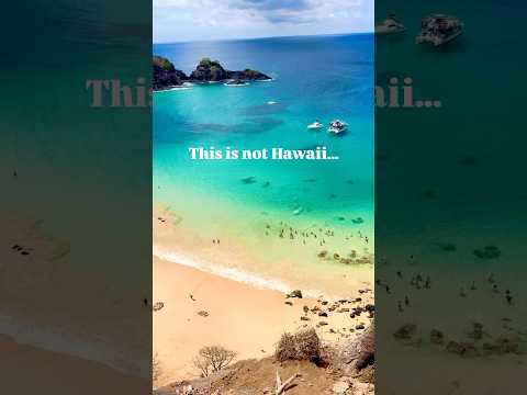 🏝️ Better than Hawaii? 🤔 Tropical Island Paradise in Fernando de Noronha Brazil 🇧🇷