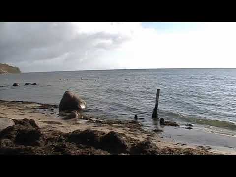 Ich hör das Lied der Matrosen im Hafen, Rose- Marie Heimerdinger