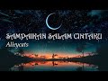 Sampaikan Salam Cintaku Alleycats Lirik
