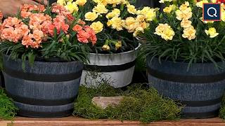 Get Ready for Spring w/ 🌷 Roberta's Unique Gardens