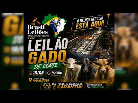 LEILÃO  GADO DE CORTE BRASIL LEILÕES  PORANGATU - GO  18 /05 / 2026