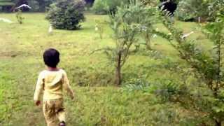 preview picture of video 'RISHAB playing with migratory birds at Central Park , saltlake city , kolkata'