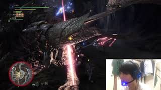 【MHWアイスボーン】リオレイアって保護色で見えづらいの僕だけ？