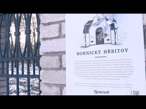 Psychiatric Hospital and Abandoned Cemetery - Ghost Tours Prague
