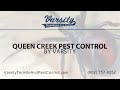 Queen Creek Pest Control | Varsity Termite & Pest Control