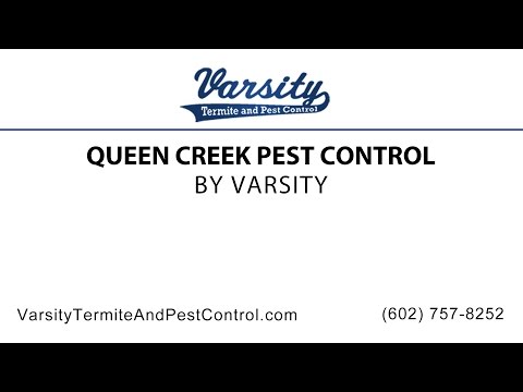 Queen Creek Pest Control | Varsity Termite & Pest Control