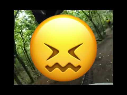 Average MTB ride at Puddletown Forest