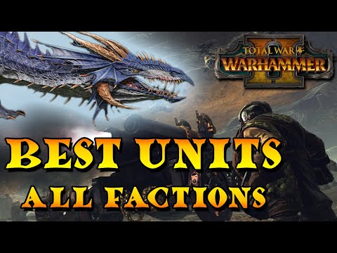 The Best Unit For Each Faction In Battle | Total War Warhammer 2 List