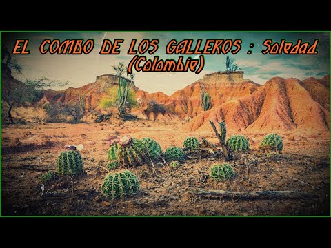 EL COMBO DE LOS GALLEROS. Soledad. (Colombie)