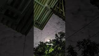 Download lagu Story Wa Casandra cinta terbaik mp3