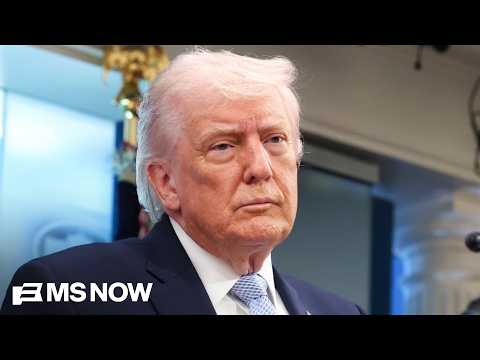 Trump 'does not want people speaking freely' if they are critical of him: Status founder
