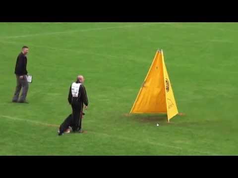 WUSV 2014 Dirk Leemans - Kjerro van Blutsenhof - 98C