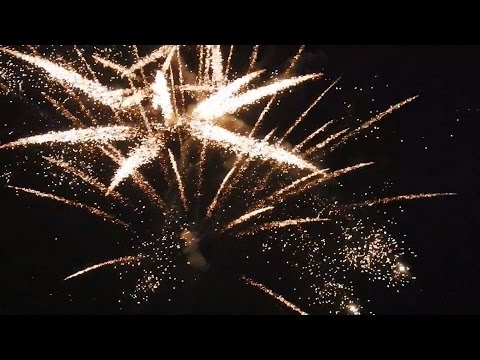 Akcja "Nie strzelam na Sylwestra"