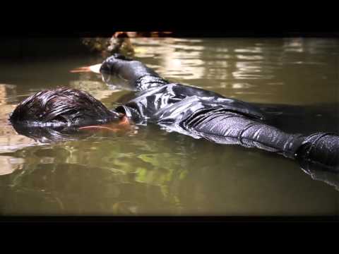 WILD THE COYOTE - The Hollow Woods (Official Video)